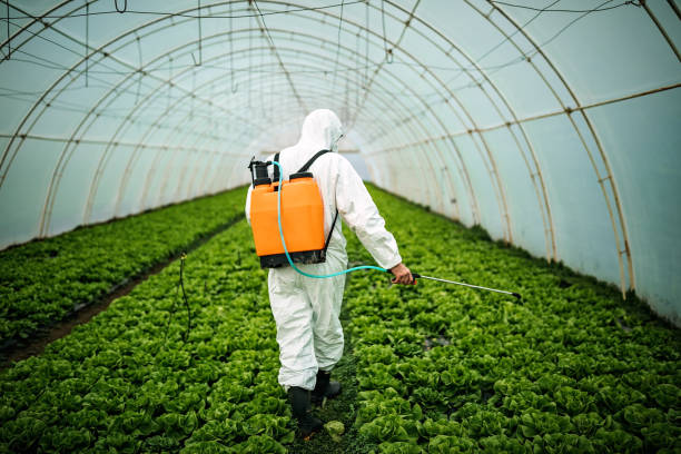 Best Commercial Pest Control Services  in Lansdowne, MD