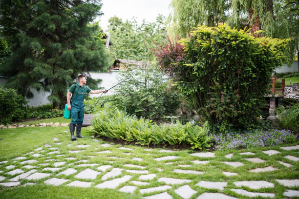Best Residential Pest Control  in Lansdowne, MD