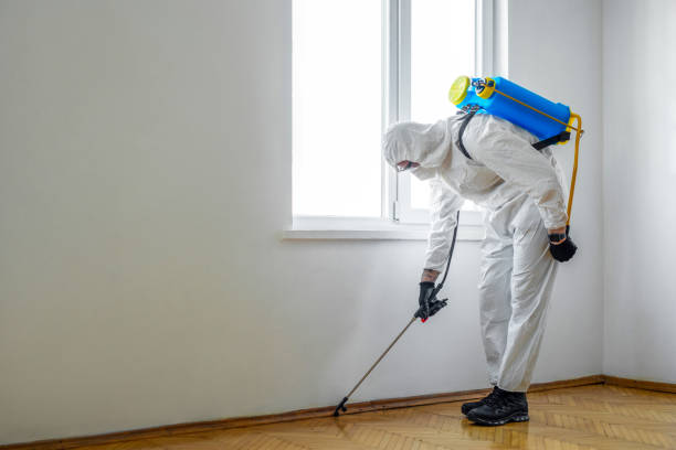 Best Wasp Removal Services  in Lansdowne, MD