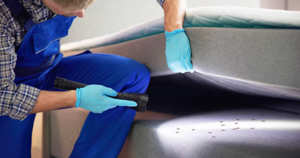 Best Pest Removal Services  in Lansdowne, MD