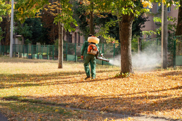 Best Exterminator Services  in Lansdowne, MD