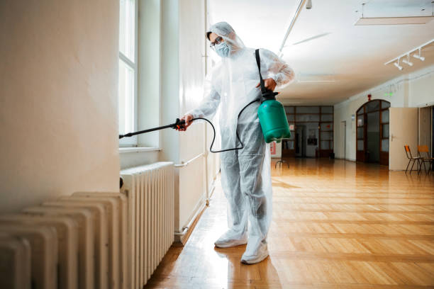 Wasp Removal Services in Lansdowne, MD