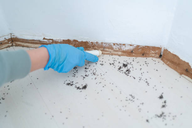 Best Pest Prevention Services  in Lansdowne, MD