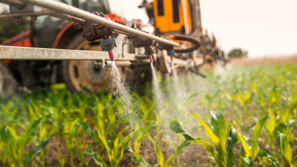 Best Pest Control Treatment  in Lansdowne, MD